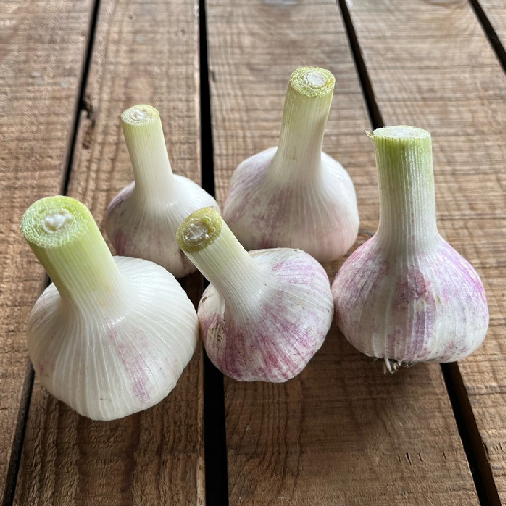 無農薬 生にんにく 4kg
