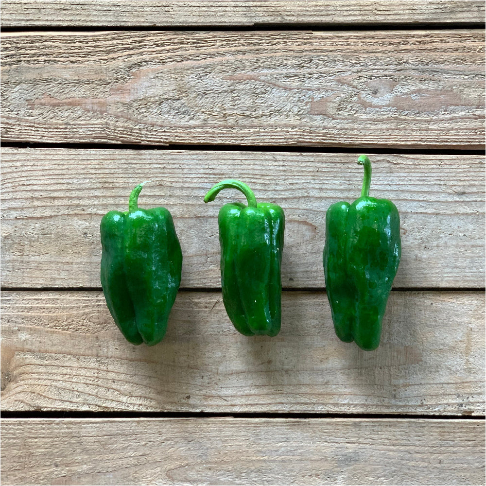 有機栽培野菜 畑の野菜セット!