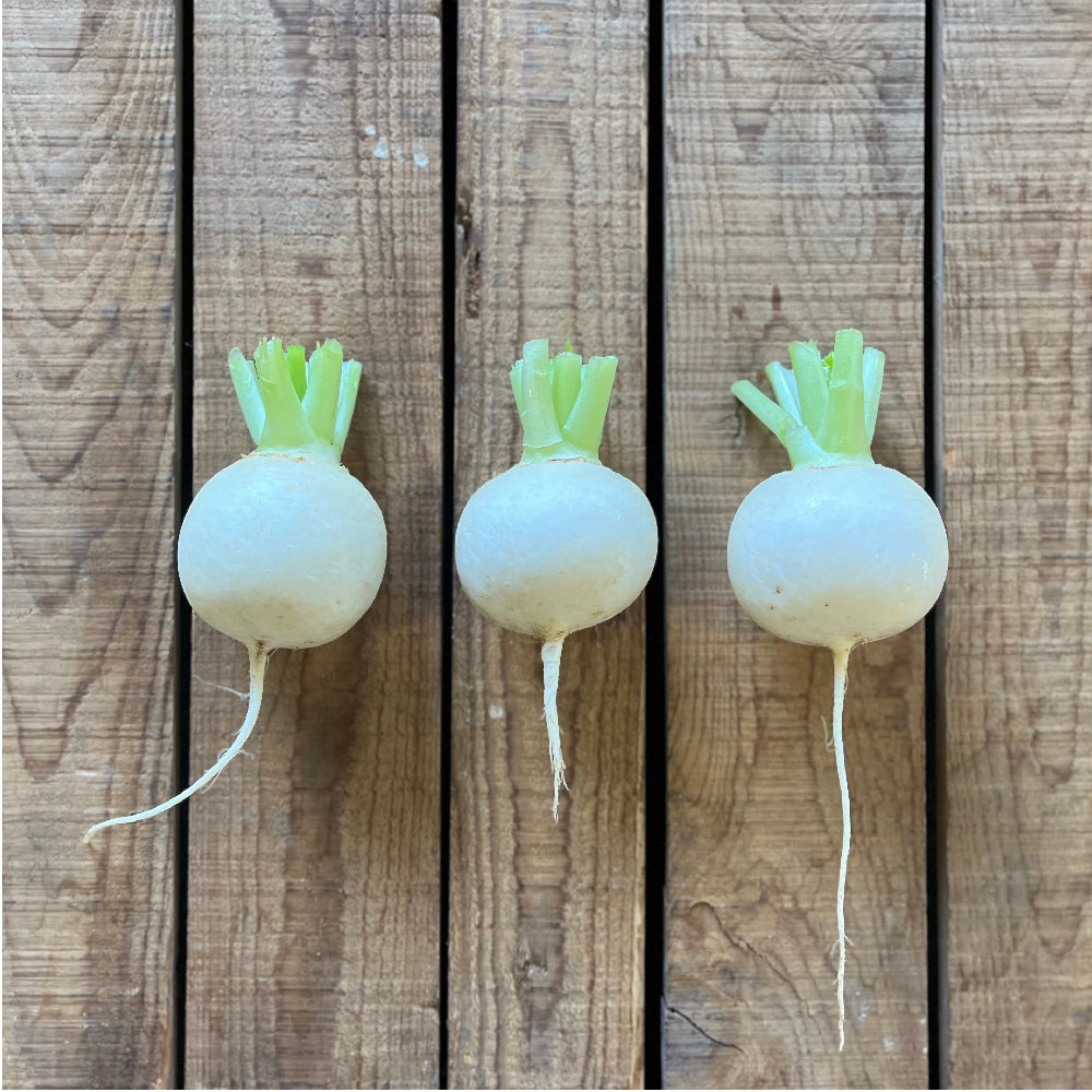 有機栽培野菜 畑の野菜セット!