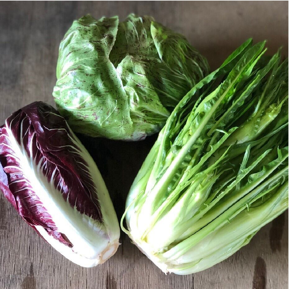 有機栽培野菜 冬季限定!西洋野菜とカラフル野菜セット