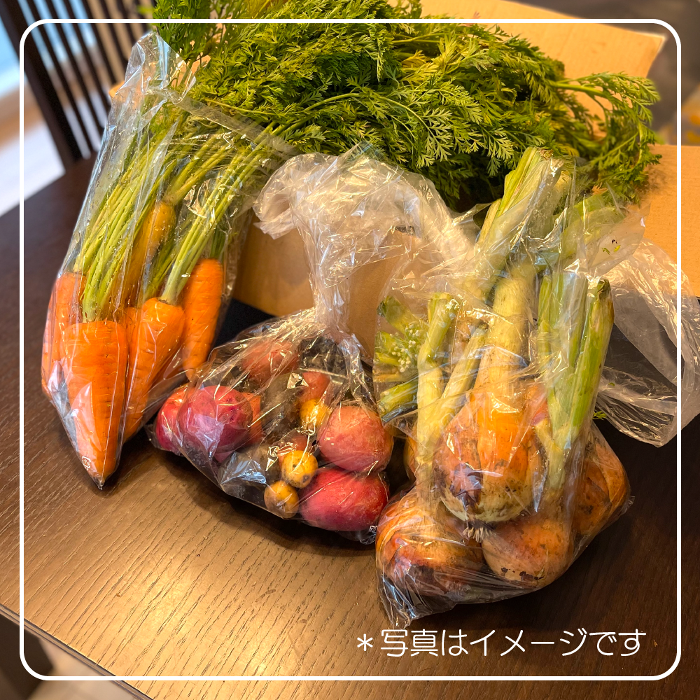 限定3セット「旬」カレーセット(ホサカファーム)