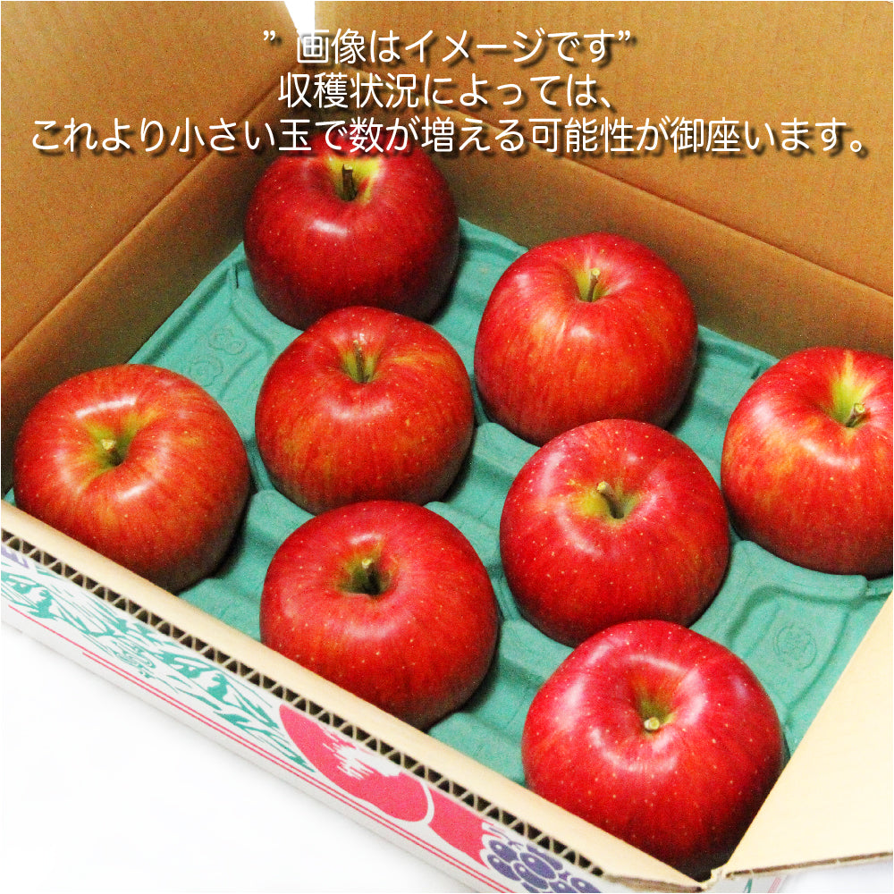 訳ありB級品 竹節園 サンふじ(ひょう害果)