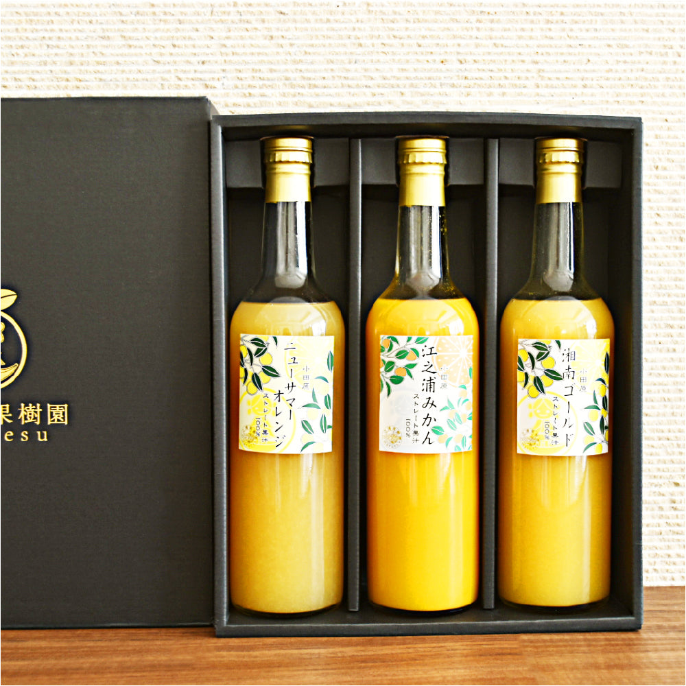江之浦みかん - ストレート果汁100%