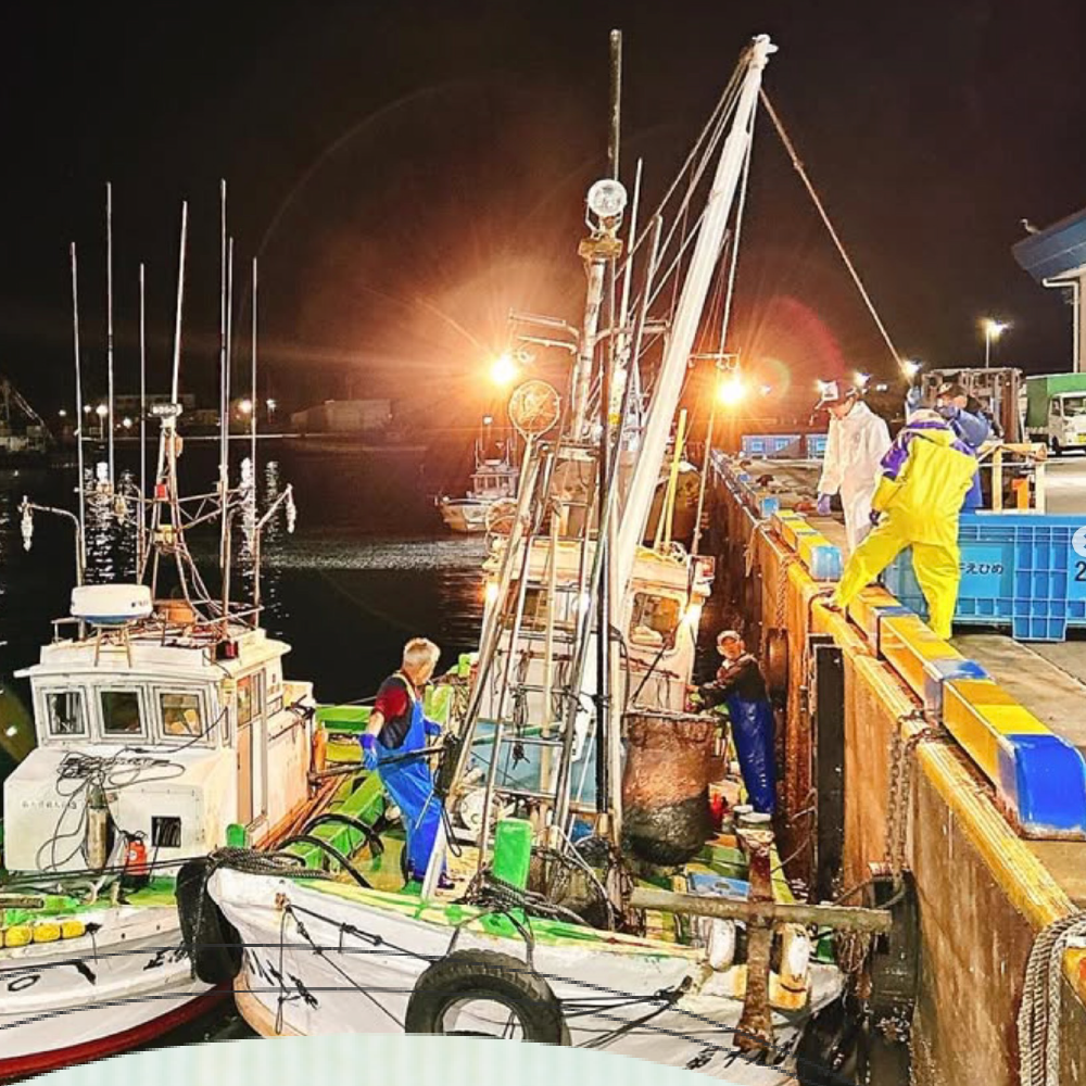 九島ひもの工房　干物セット（時期によって内容は変わります）
